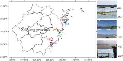 Profiling sediment bacterial communities and the response to pattern-driven variations of total nitrogen and phosphorus in long-term polyculture ponds